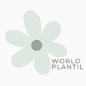 Imagen de World PLANTIL