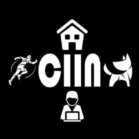 Imagen de CIIN
