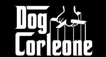 Imagen de DOG CORLEONE