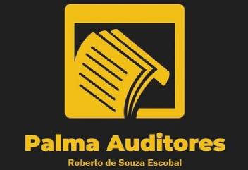 Imagen de Palma Auditores Roberto de Souza Escobal