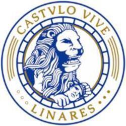 Imagen de CASTULO VIVE LINARES