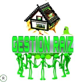 Imagen de GESTION RAIZ