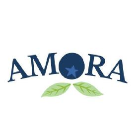 Imagen de AMORA