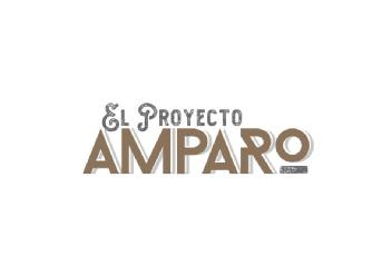 Imagen de EL PROYECTO AMPARO