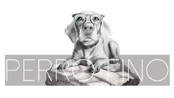 Imagen de PERRO FINO