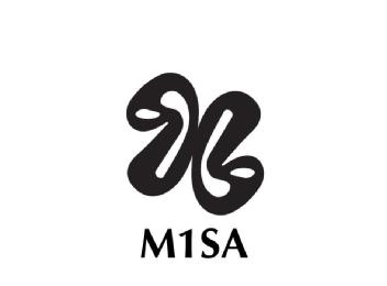 Imagen de M1SA