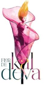 Imagen de FLOR DE KALDEVA