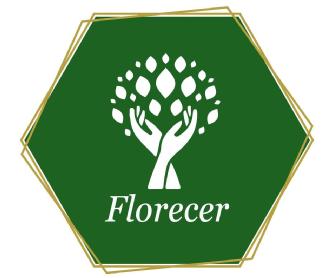 Imagen de Florecer