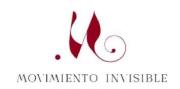 Imagen de MOVIMIENTO INVISIBLE