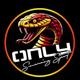 Imagen de ONLY Simracing Sport