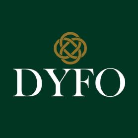 Imagen de DYFO