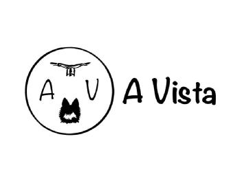 Imagen de A V A Vista