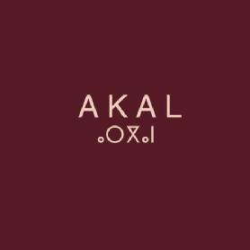 Imagen de AKAL