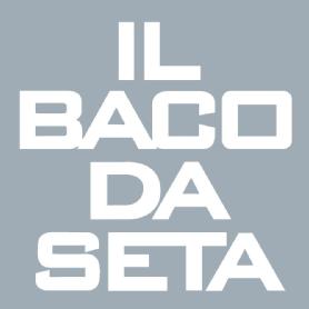 Imagen de IL BACO DA SETA