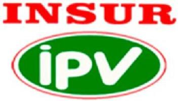 Imagen de INSUR IPV