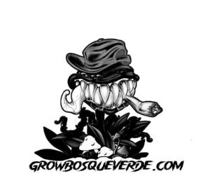 Imagen de GROWBOSQUEVERDE.COM