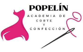 Imagen de ACADEMIA POPELÍN