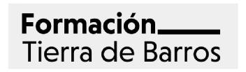 Imagen de FORMACIÓN TIERRA DE BARROS