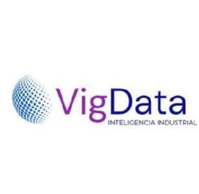 Imagen de VIGDATA