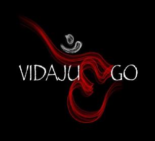 Imagen de VIDAJUEGO