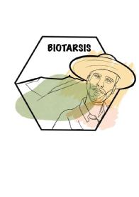 Imagen de BIOTARSIS