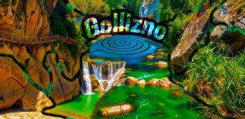Imagen de GOLLIZNO