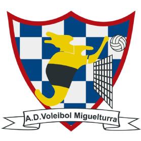 Imagen de A.D. Voleibol Miguelturra