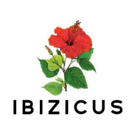 Imagen de IBIZICUS