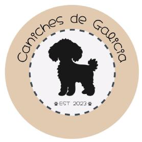 Imagen de CANICHES DE GALICIA 