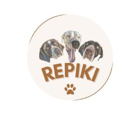Imagen de REPIKI