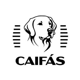 Imagen de Caifás