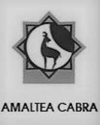 Imagen de AMALTEA CABRA