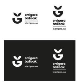 Imagen de Errigora Balioak id.errigora.eus