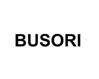 Imagen de BUSORI