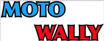 Imagen de MOTO WALLY