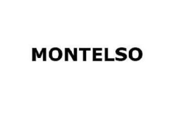 Imagen de MONTELSO