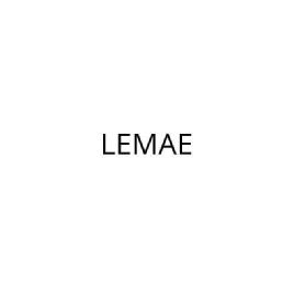 Imagen de LEMAE