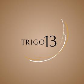 Imagen de Trigo 13