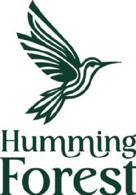 Imagen de Humming Forest