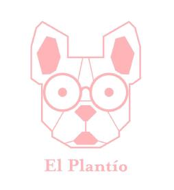 Imagen de El Plantío