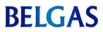 Imagen de BELGAS