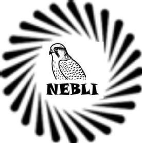 Imagen de NEBLI