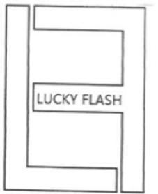 Imagen de LUCKY FLASH