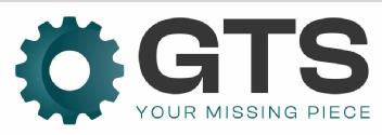 Imagen de GTS - YOUR MISSING PIECE