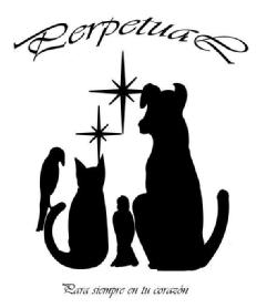 Imagen de PERPETUAL PARA SIEMPRE EN TU CORAZON