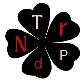 Imagen de TrPdN