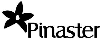 Imagen de Pinaster