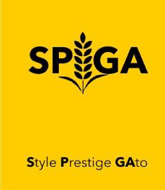 Imagen de sp i ga