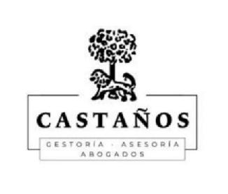 Imagen de CASTAÑOS GESTORÍA ASESORÍA ABOGADOS