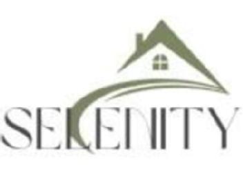 Imagen de SELENITY